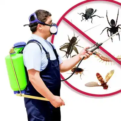 pest control Blue Ash